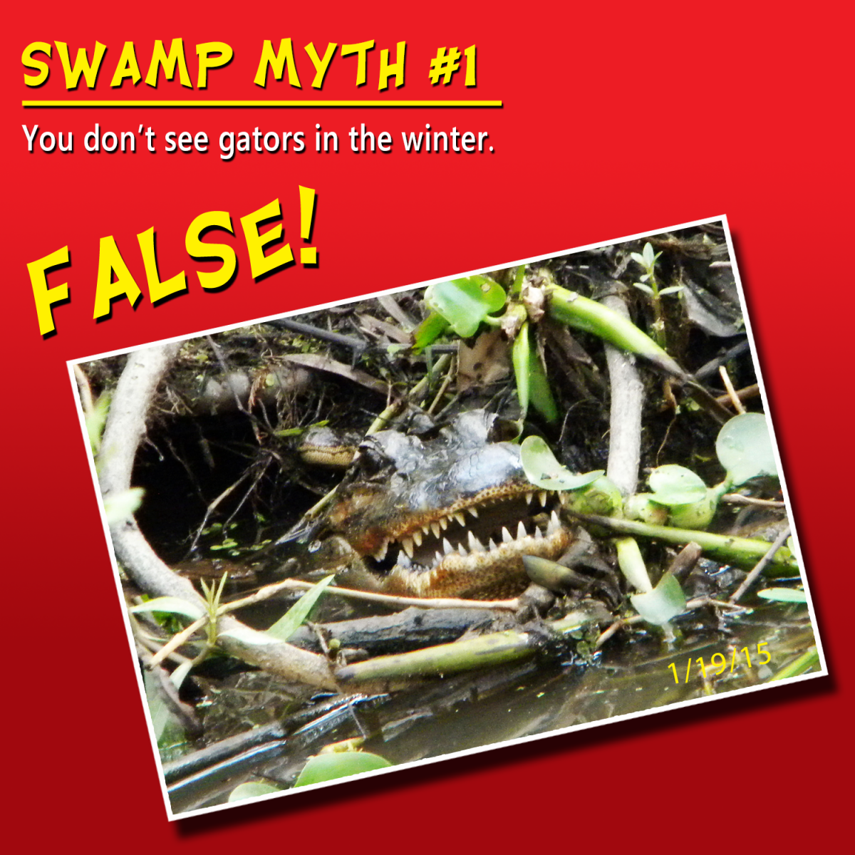 swamp myth 